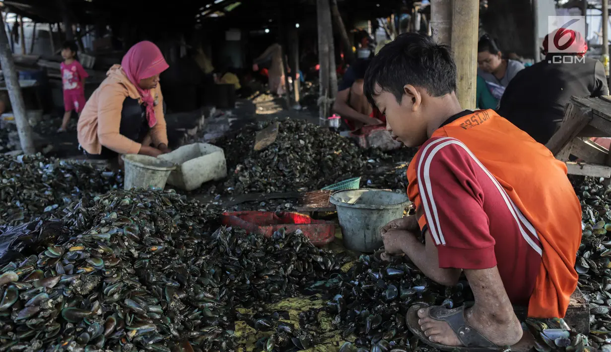 Seorang anak membantu ibunya mengupas kerang hijau di Kampung Nelayan Muara Angke, Jakarta, Rabu (3/7/2019). Dengan penghasilan rata-rata Rp 30 ribu/hari, para buruh pengupas kerang hijau tersebut harus cukup memenuhi kebutuhan hidup keluarganya. (Liputan6.com/Faizal Fanani)