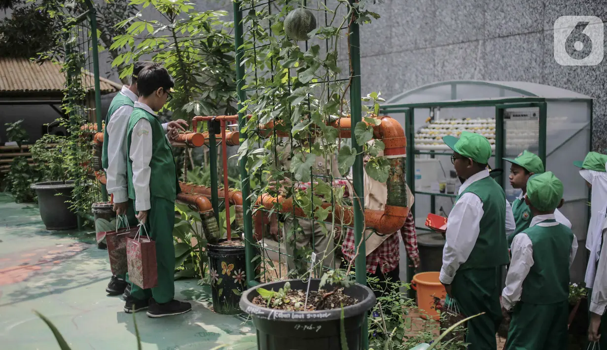 Sejumlah murid SD Laboratorium Jakarta melihat tanaman hidroponik di Balaikota Farm, Jakarta, Selasa (15/10/2019). Kegiatan ini juga untuk memberikan pengetahuan dan pengalaman sejak dini cara bercocok tanam di lahan yang sempit di perkotaan.  (Liputan6.com/Faizal Fanani)