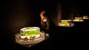 Seorang perempuan dengan masker melihat ikan mas koki dalam akuarium pajangan berjudul A Show of kingyo" selama pratinjau pers pameran Art Aquarium 2020 di Tokyo, Jepang, Kamis (27/8/2020). Art Aquarium kini menampilkan 30 ribu ikan mas yang ditempatkan di tangki-tangki besar. (Behrouz MEHRI / AFP)