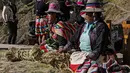 Dengan arit, para perempuan dengan rok warna-warni memotong q'oya dan mengumpulkannya dalam ikatan yang direndam dalam sumur dan kemudian dihancurkan dengan batu. (Christian SIERRA / AFP)