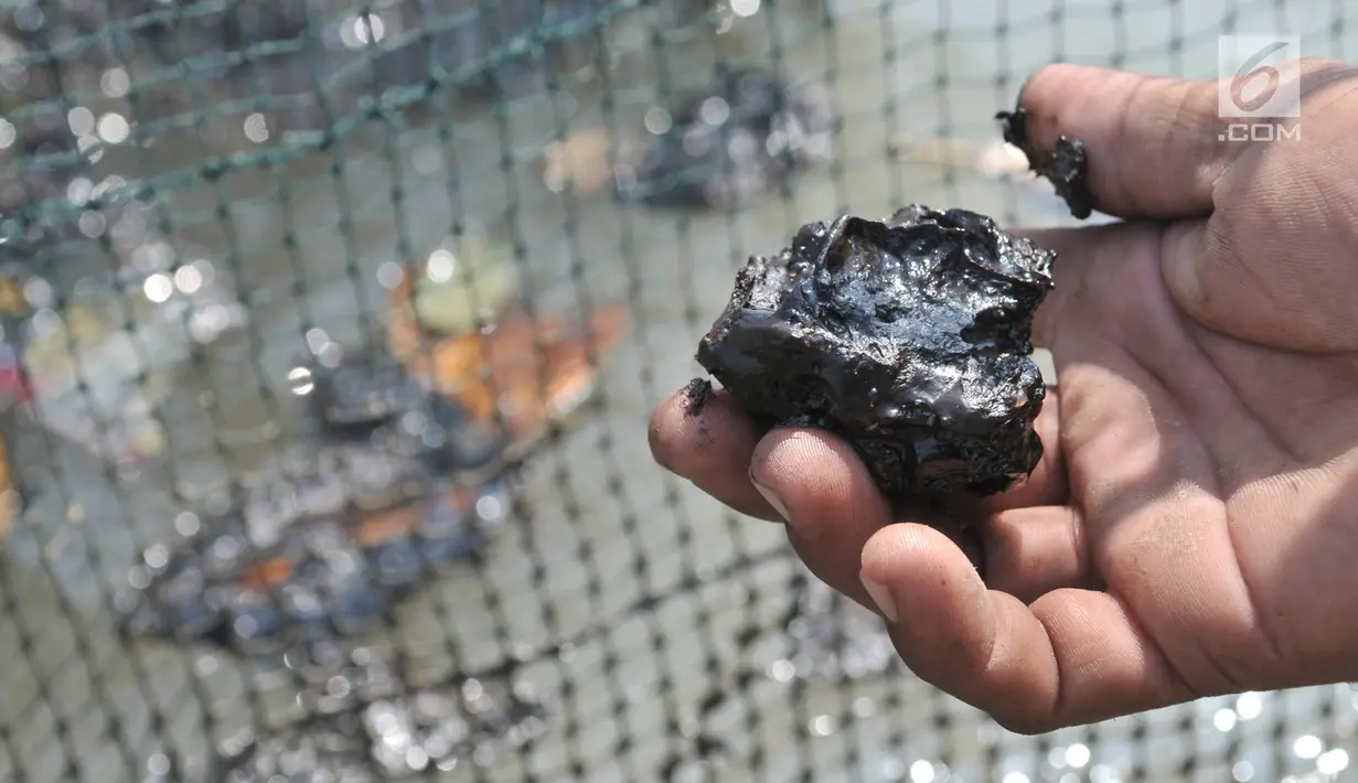 Nelayan menunjukkan oil spill yang telah membeku di sekitar tambak penangkap udang di perairan Muara Beting, Muara Gembong, Bekasi, Jawa Barat, Minggu (28/7/2019). Oil spill tersebut merupakan milik Pertamina Hulu Energi di blok migas ONWJ. (merdeka.com/Iqbal S. Nugroho)