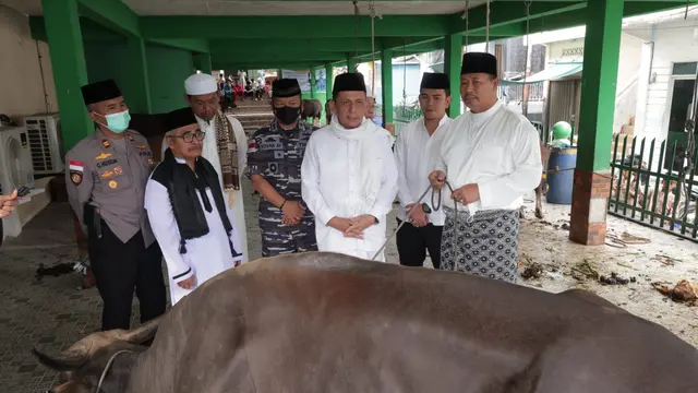 Sapi Kurban dari Jokowi