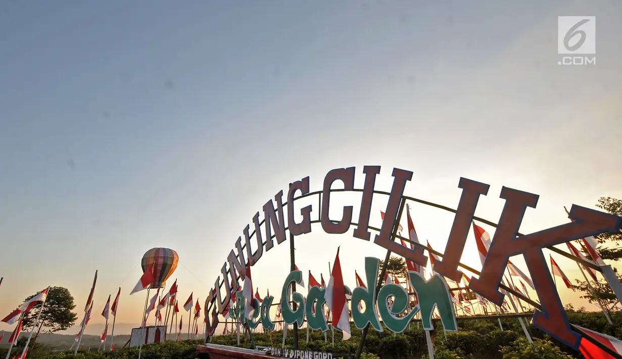 Ribuan bendera Merah Putih berkibar di perkebunan teh Kemuning, Desa Girimulyo, Karanganyar, Jateng, (25/8). Adanya ribuan bendera tersebut sekaligus menarik wisatawan serta membangun jiwa nasionalisme di kalangan remaja. (Merdeka.com/Iqbal S. Nugroho)