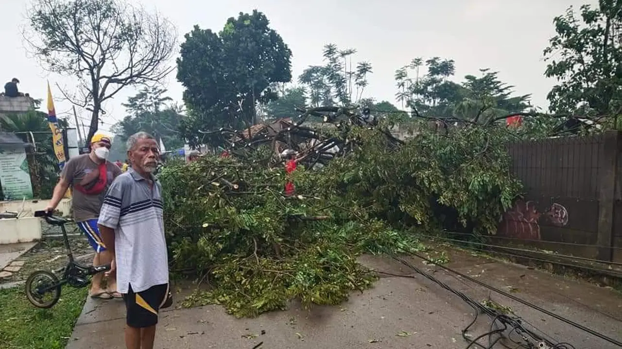 Hujan deras disertai puting beliung melanda Kecamatan Sawangan dan Kecamatan Bojongsari, Kota Depok. Akibatnya sejumlah pohon tumbang dan tiang listrik roboh menutup akses jalan.