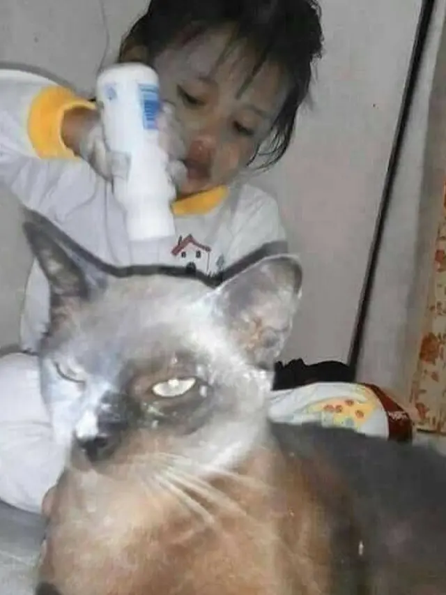 6 Potret Bocah Mainan Bedak Ini Bikin Orang Tua Senyum Tipis, Kocak