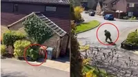 Viral Pria Menyamar Jadi Semak-Semak, Keluar Rumah Saat Karantina Virus Corona