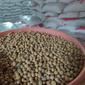 Pemerintah Daerah (Pemda) Garut, Jawa Barat segera menggelar Operasi Pasar (OP) kacang kedelai, sebagai solusi tingginya harga bahan dasar tahu-tempe tersebut. (Liputan6.com/Jayadi Supriadin)
