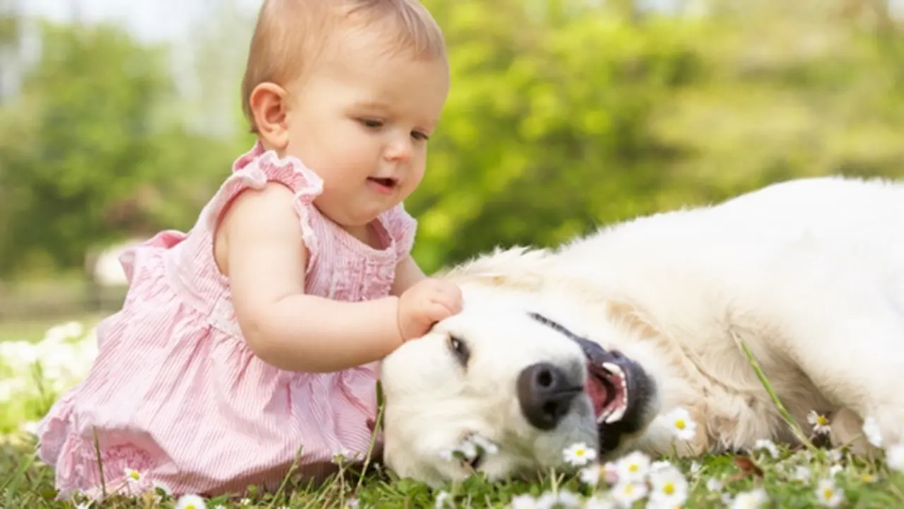 Foto Copyright thinkstockphotos.com