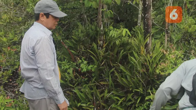 Hutan Anggrek Kenohan