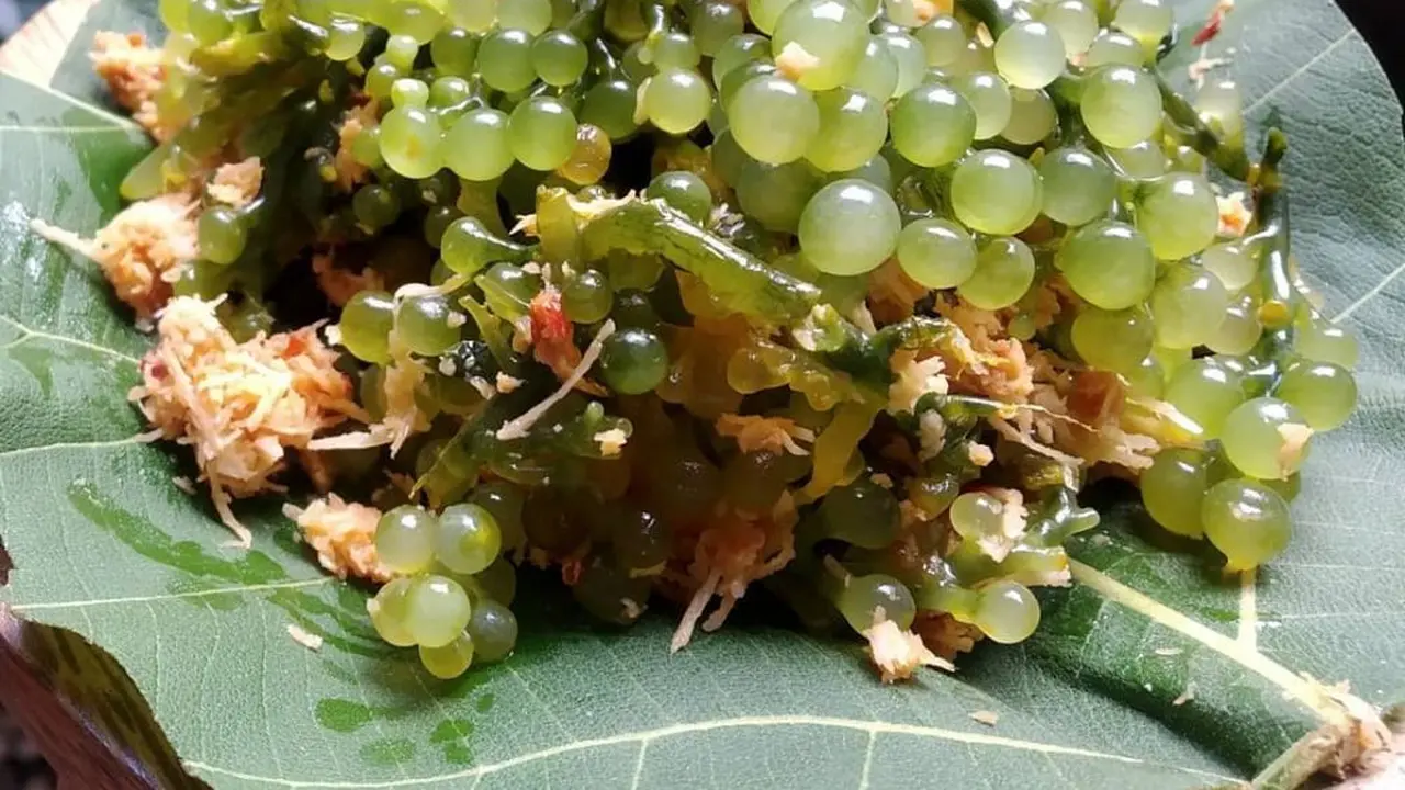 Urap Latoh