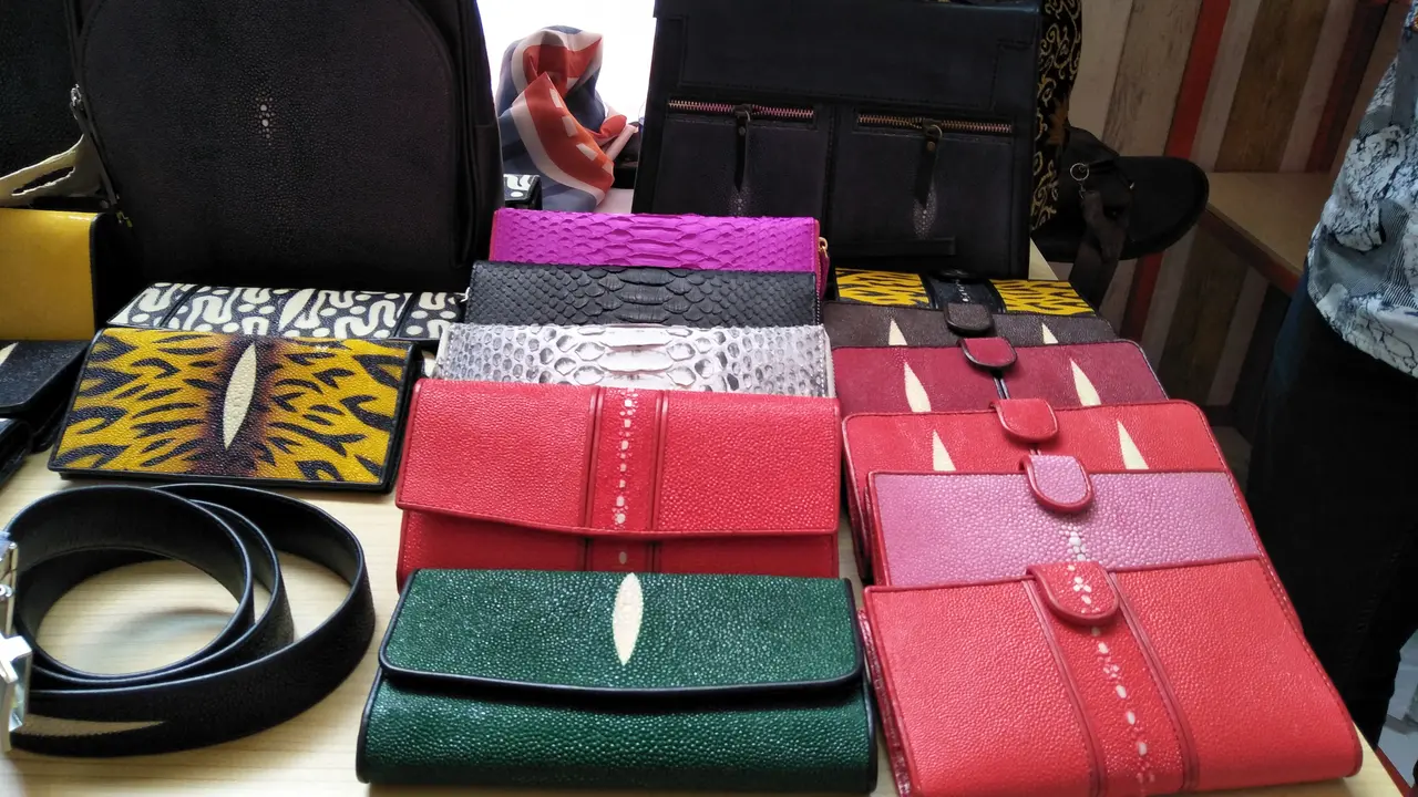 Produk MoolLeather terbuat dari kulit ikan pari (Liputan6.com/Septian Deny)