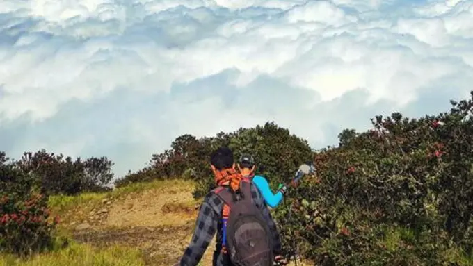6 Hal yang Harus Kamu Tahu Sebelum Mendaki Gunung Lawu