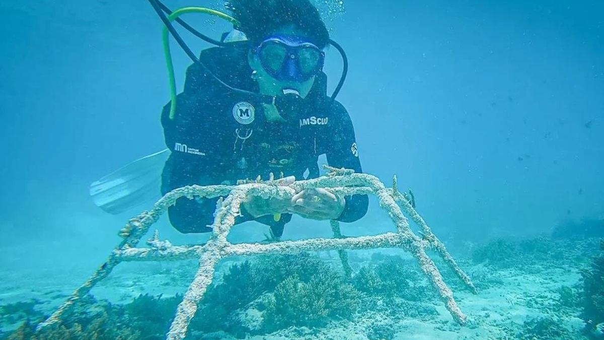 Aksi Nyata BRI Menanam - Grow &amp; Green dalam Pelestarian Ekosistem Laut di Gili Matra