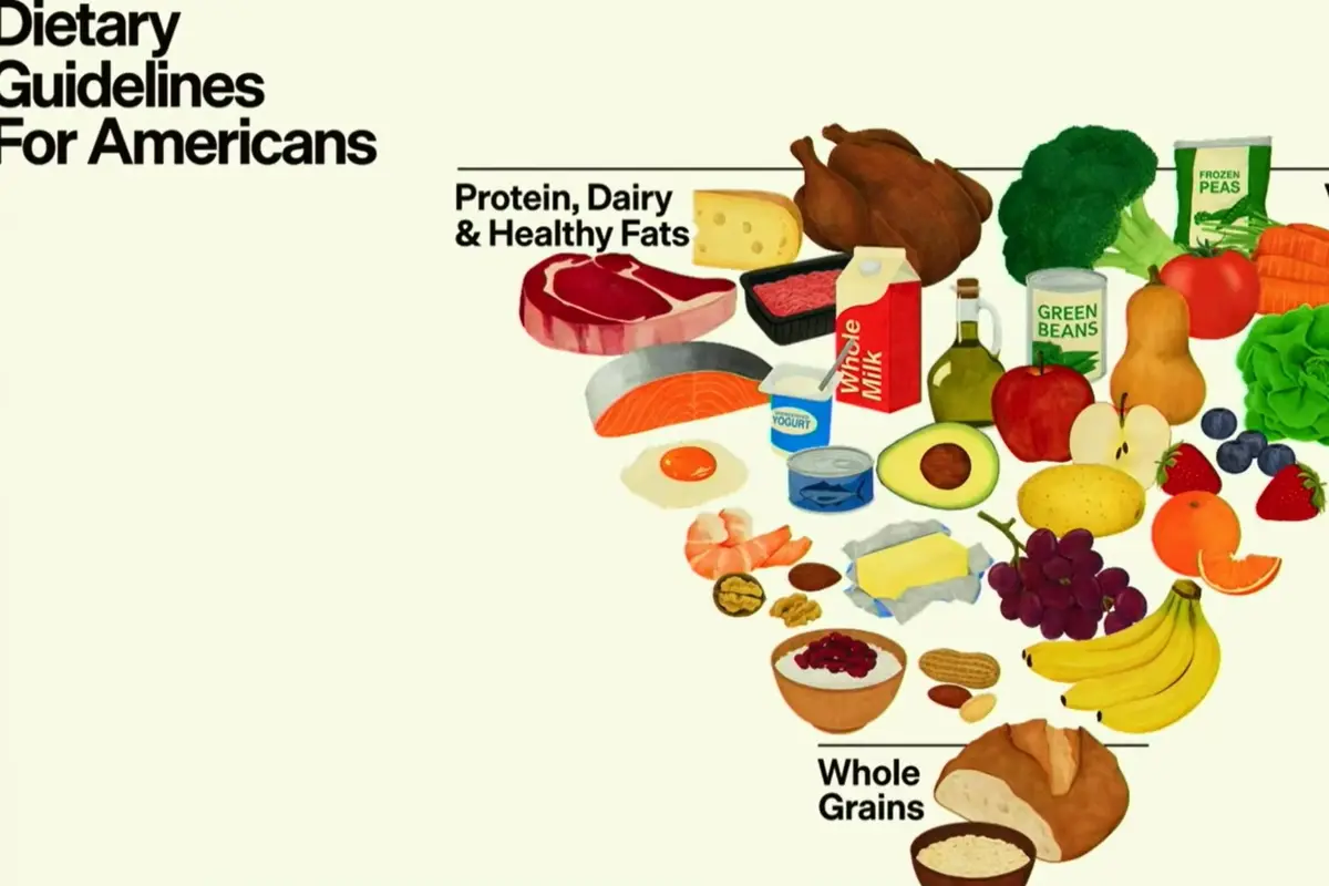 US Food Pyramid: New Dietary Guidelines Introduced by RFK Jr., What Are They?