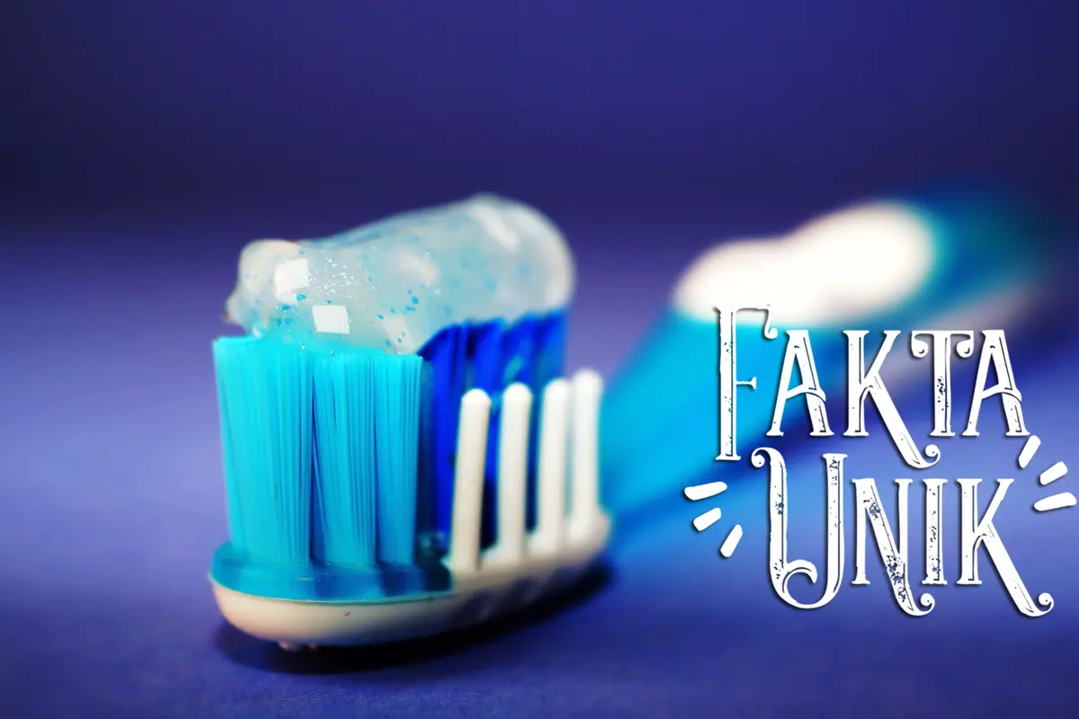 [Bintang] Fakta Unik