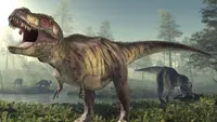 T-rex, salah satu jenis dinosaurus theropoda (foto: howitworksdaily.com)