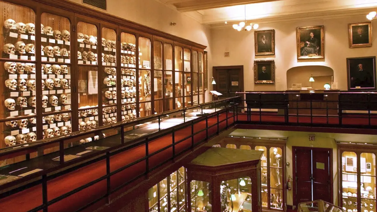 Pajangan tengkorak serdadu di The Mutter Museum, Philadelphia, Amerika Serikat (AP)
