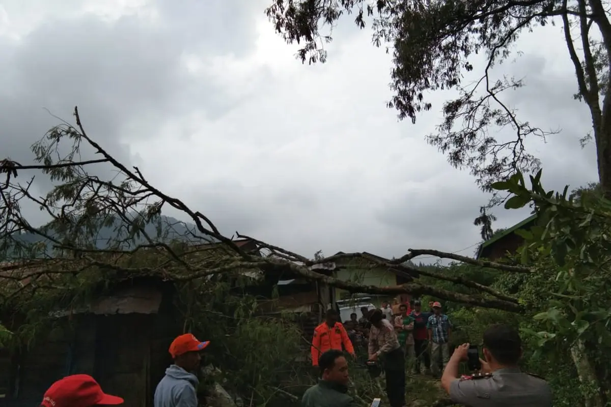 Angin Kencang di Aceh Tengah