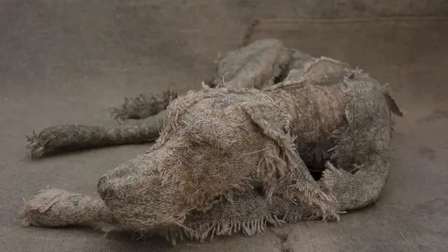 Patung Anjing
