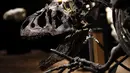 Kerangka dinosaurus Allosaurus dipamerkan di rumah lelang Drouot, Paris, Prancis, Sabtu (10/10/2020). Kerangka dinosaurus yang ditemukan di daerah Johnson, Wyoming, AS, tersebut akan dilelang pada 13 Oktober 2020 dan diperkirakan harganya antara 1-1,2 juta euro. (AP Photo/Thibault Camus)