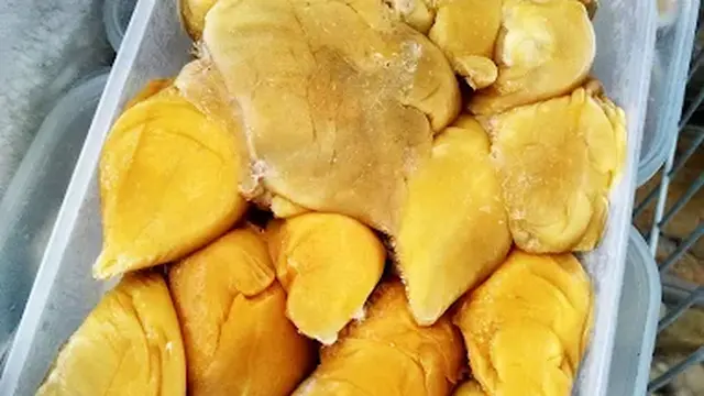Durenku Store - Durian Jogja