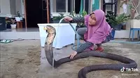 Mandikan ular kobra di depan rumah (Sumber: TikTok/ahlemottt01)