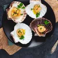 Ilustrasi Scallop/https://www.shutterstock.com/vivooo