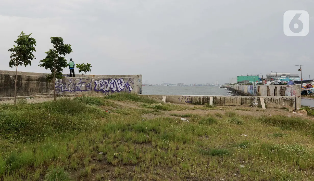 Program tanggul laut ini bertujuan untuk melindungi lahan persawahan yang ada di wilayah Pantai Utara Jawa. (Liputan6.com/Herman Zakharia)