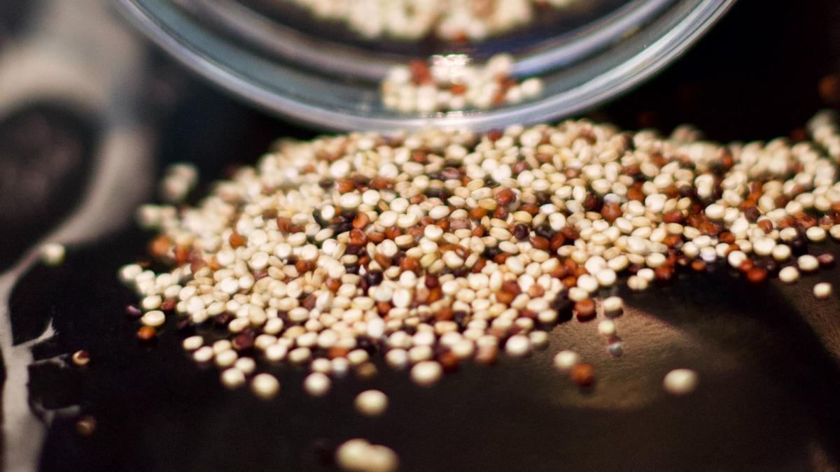 Cara Merebus Quinoa untuk Bantu Jaga Kesehatan Jantung dan Gula Darah, Perhatikan Durasi Memasaknya