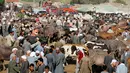 Suasana di pasar ternak untuk hewan kurban menjelang perayaan Idul Adha di Desa Al Manashi di Giza, Kairo, Mesir, Rabu (7/9). (REUTERS/Mohamed Abd El Ghany)