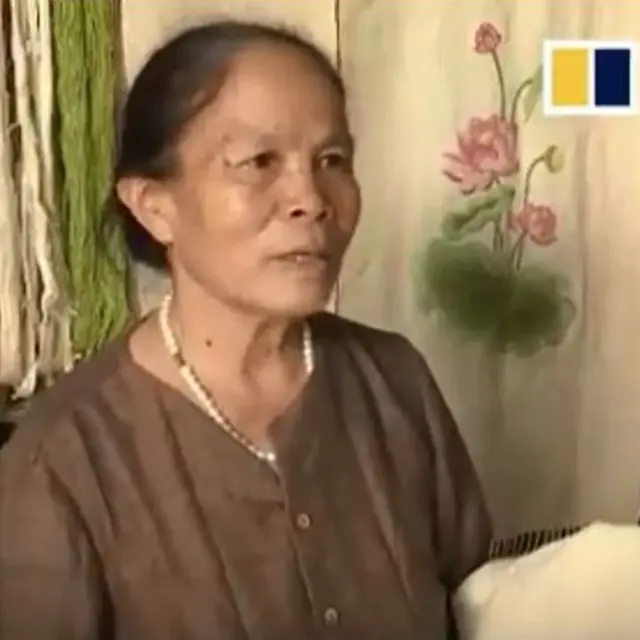 Penenun Vietnam