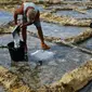 Alfred Attard mengumpulkan garam laut dari dataran garam dengan pematang batu di sebuah desa di Gozo, Malta, pada 7 September 2020. Dikelilingi seluruhnya oleh laut, Malta merupakan salah satu produsen besar garam laut yang dihasilkan dari dataran garam berpematang batu. (Xinhua/Jonathan Borg)