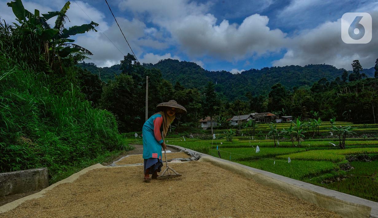 Harga Beras di Penggilingan Mulai Turun