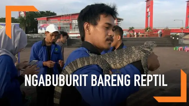 Warga Palembang lakukan ngabuburit dengan cara unik. Mereka bermain bareng aneka reptil depan Benteng Kuto Besak yang terletak di pinggir Sungai Musi.