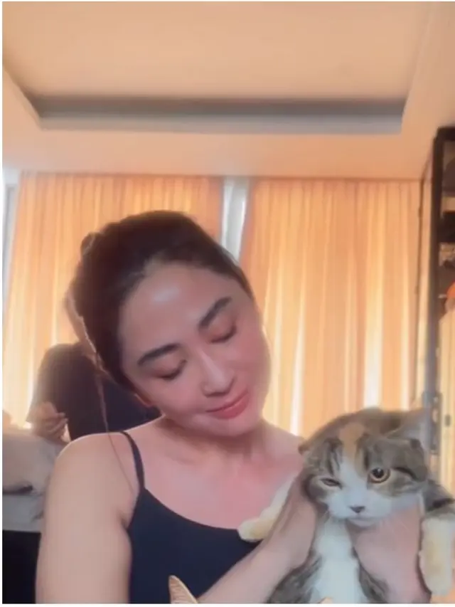 6 Potret Dewi Perssik Jaga Kucing Eko Patrio yang Selamat Pasca Penjarahan Rumah