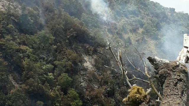 Kebakaran di Gunung Slamet. (Foto: Liputan6.com/Perhutani/Muhamad Ridlo)