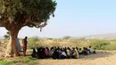 Para pelajar Yaman yang terlantar menghadiri kelas di bawah pohon sebuah lapangan terbuka, di distrik Abs utara, Yaman pada 28 Oktober 2018. UNICEF menyebut sekitar dua juta anak di Yaman putus sekolah, sejak konflik melanda pada 2015. (ESSA AHMED/AFP)