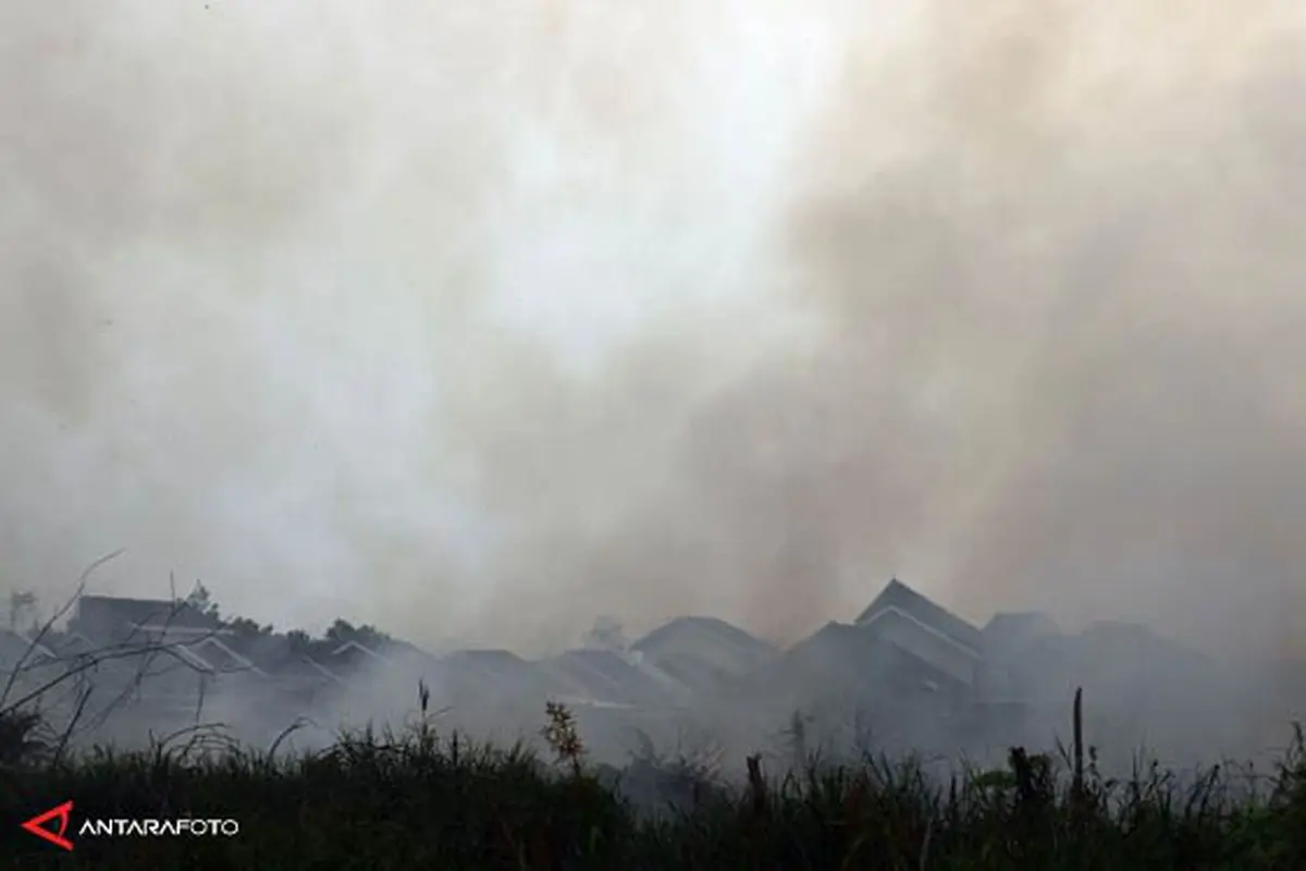 kabut-asap-riau-140221c.jpg