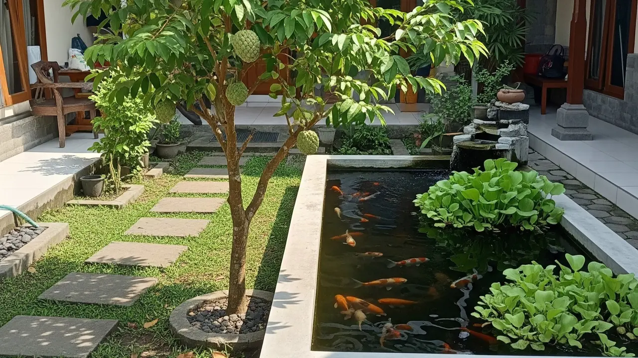 11 Pohon Buah yang Cocok di Dekat Kolam Ikan Tanpa Akar Merusak Struktur
