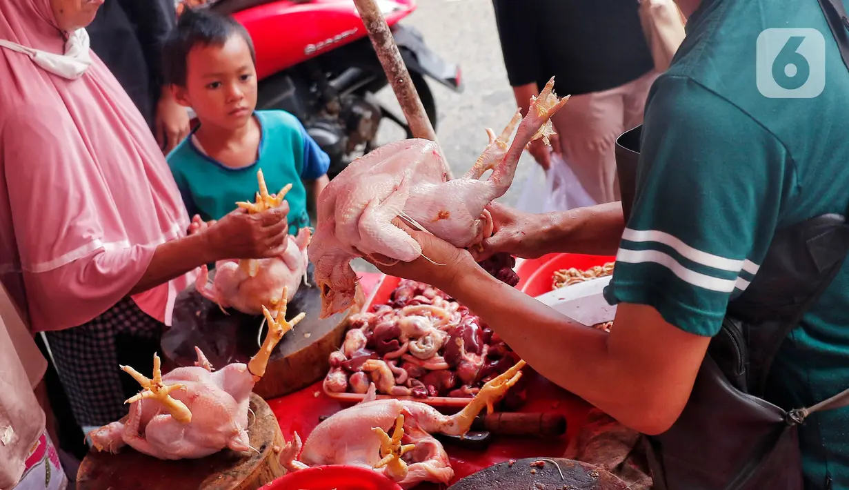 Mengutip panel harga Bapanas, kondisi harga rata-rata nasional daging ayam ras, berdasarkan data Panel Harga Pangan NFA per 27 Juni 2023, tercatat Rp 38.530 per Kg. (Liputan6.com/Angga Yuniar)