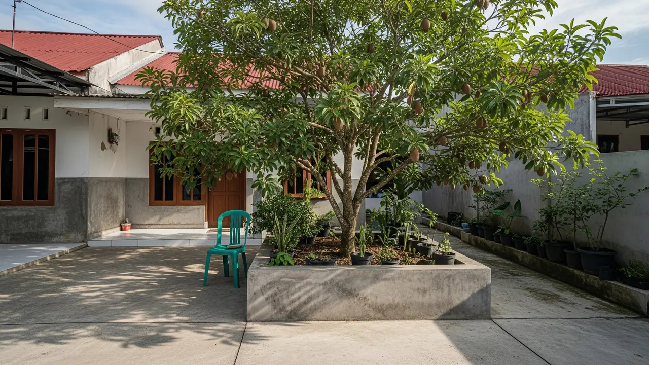 Pohon Buah yang Cocok Ditanam dalam Planter Box Beton Model Pohon Sawo