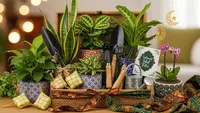 6 Tanaman untuk Hampers Lebaran, Teman Silaturahmi yang Personal dan Berkesan