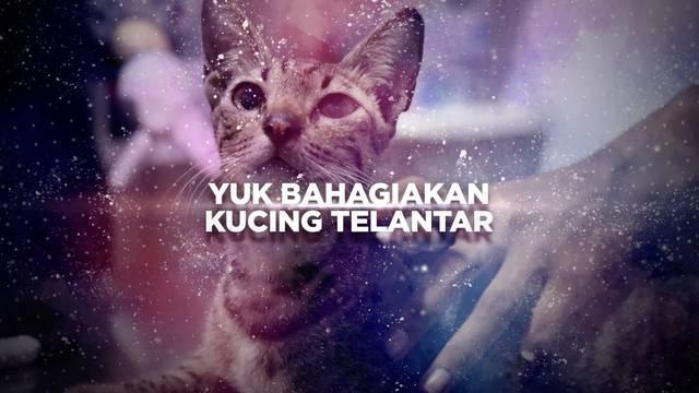 Sejumlah orang bergerak spontan di jalanan untuk peduli kucing-kucing terlantar. Kelompok ini sukarela memastikan kucing-kucing jalanan bisa sehat dan hidup lebih lama.