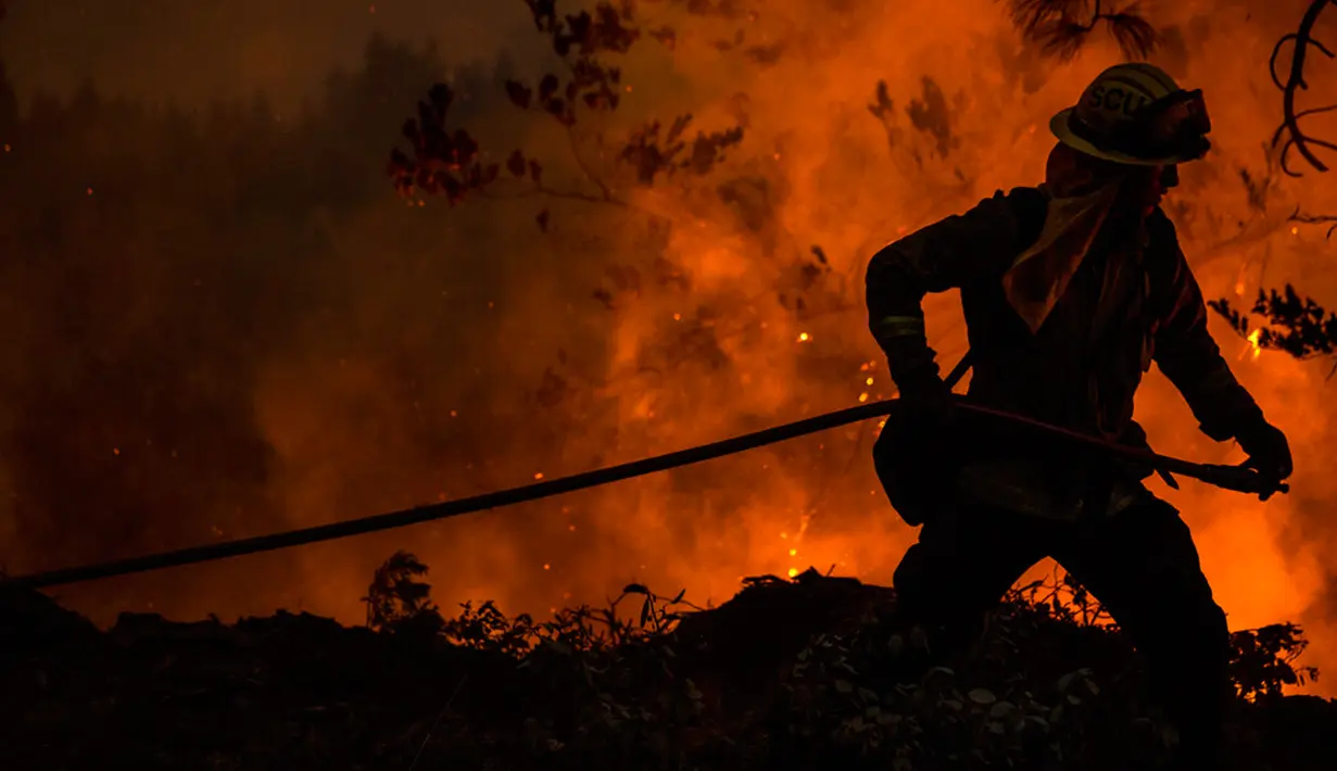 Seorang petugas pemadam kebakaran dengan Cal Fire Santa Clara Unit menyeret selang saat memerangi Mosquito Fire dekat Michigan Bluff di Placer County, California, Amerika Serikat, 7 September 2022. (Stephen Lam/San Francisco Chronicle via AP)