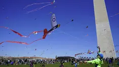 Seorang anak laki-laki berusaha menerbangkan layang-layang pada Festival Blossom Kite atau Festival Layang-Layang di dekat Monumen Washington di Washington, D.C., Sabtu (31/3). Festival ini untuk menyambut bunga sakura bermekaran. (Eva HAMBACH/AFP)