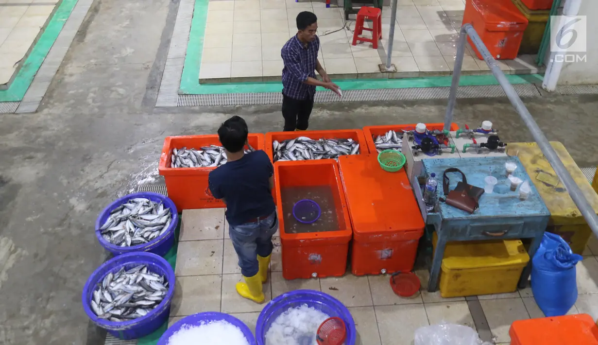 Pedagang menata ikan di Pelelangan ikan Muara Baru, Jakarta, Sabtu (6/7/2019). Angka ini mengalami kenaikan 24% dibandingkan periode yang sama tahun lalu yang hanya mencapai Rp32 triliun. (Liputan6.com/Angga Yuniar)