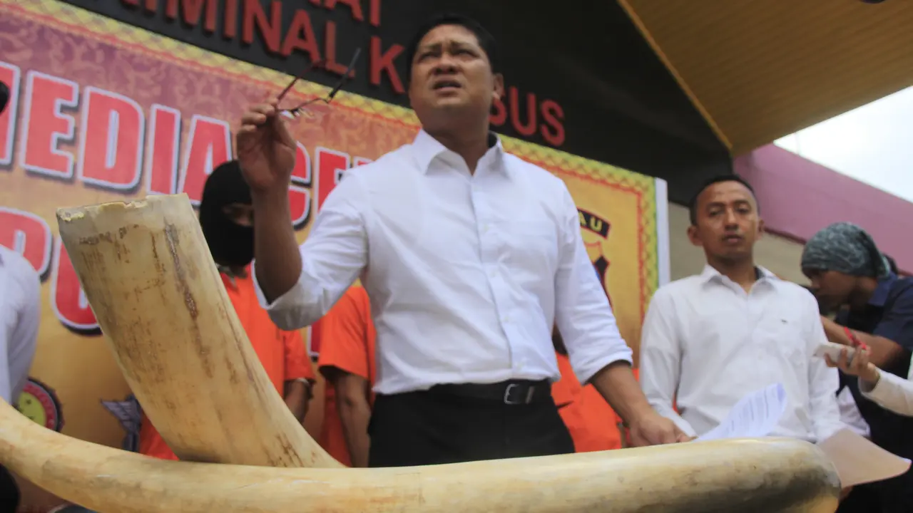 gajah, pemburu gajah, gading gajah