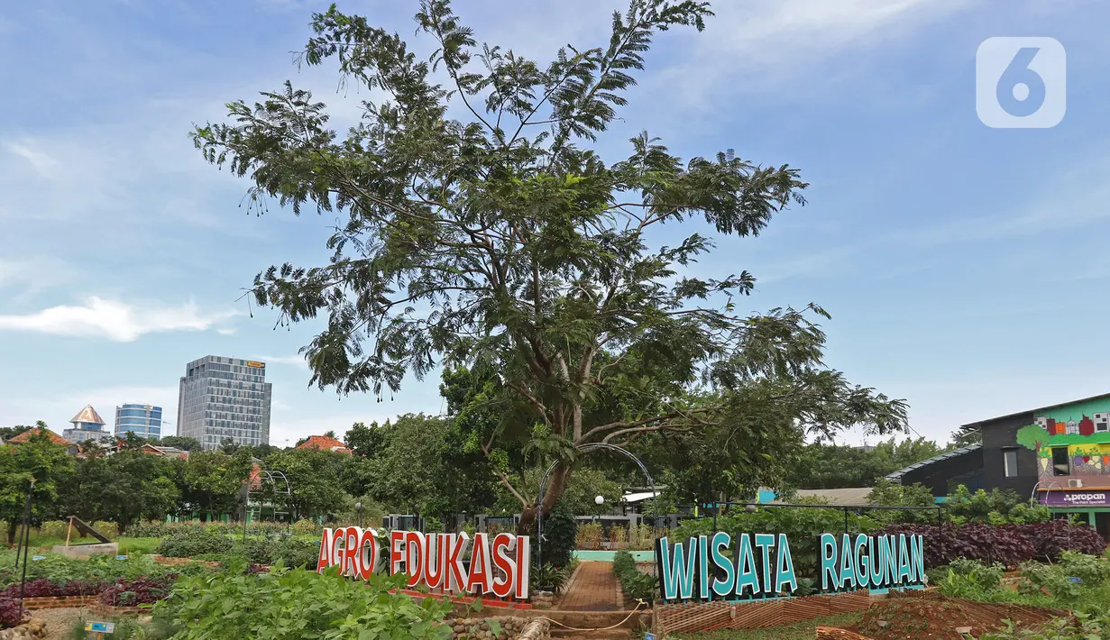 Agro Edukasi Wisata Ragunan diminati warga pada akhir pekan setelah Mentan Syahrul Yasin Limpo meresmikan tempat edukasi dan wisata yang menerapkan konsep pertanian permakultur pertama di Indonesia itu. (Liputan6.com/Herman Zakharia)