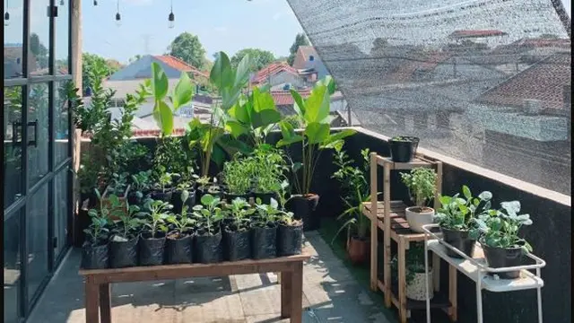 Garden Rooftop Impian Ayudia Bing Slamet, Serba Hijau dan Bisa Dikonsumsi