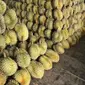 Apakah benar buah durian bikin kolesterol tinggi? Temukan jawabannya di sini! (Sumber Foto: instagram.com/@oil_rathiti)